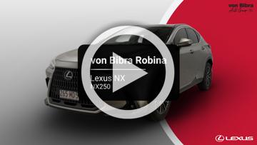 2023 Lexus NX NX250 Auto 2WD