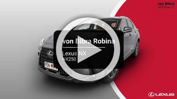 2025 Lexus NX NX250 Auto 2WD